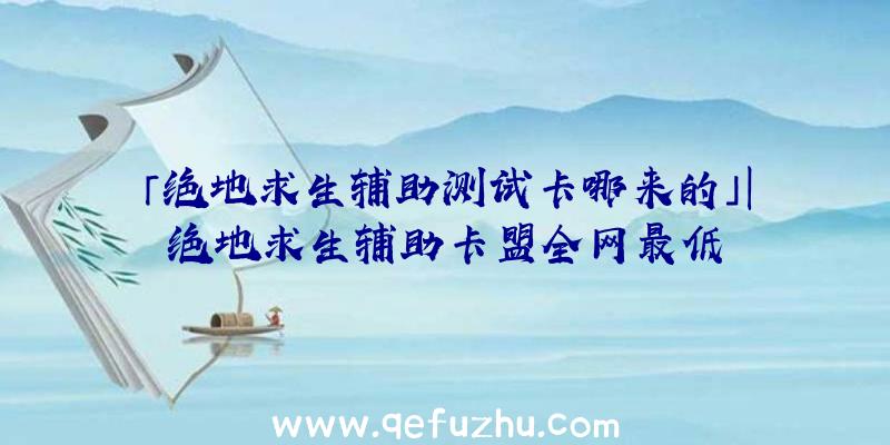 「绝地求生辅助测试卡哪来的」|绝地求生辅助卡盟全网最低